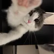 mの画像