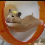 ☆みやちん☆