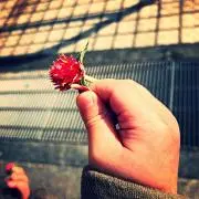 A.mの画像