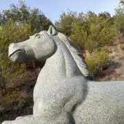 ボルドグーファの画像
