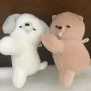 ぱぴこの画像