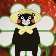 たーく