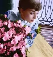 コメント必読ください。chittpiの画像