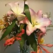 クーチロ☆必ずプロフ読んで下さい☆の画像