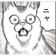 てんの画像
