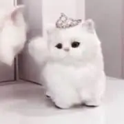 こ 無言取引歓迎の画像