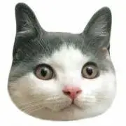 ななこの画像