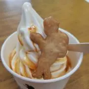 ちかちゃんの画像
