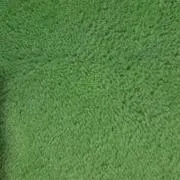 みどりの画像