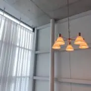 れんの画像