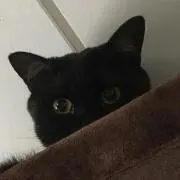 sora-mameの画像