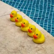 summyの画像