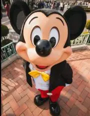 まるチワの画像