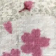ぷち