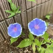 玄武龍☀︎プロフィール必読☀︎