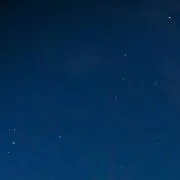 紅茶の画像