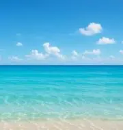 みずたまの画像
