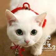 モモタロウ →プロフご確認ください