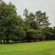 ★セブン★の画像