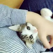 fu---min
