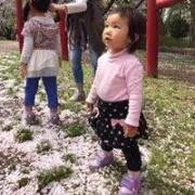 け