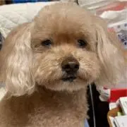 hiromi5