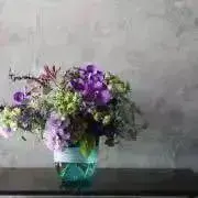 mapyonの画像