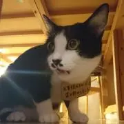 とぅーた