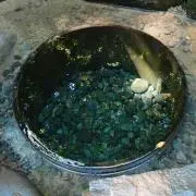 はるなぎみみ