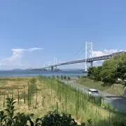 タミの画像