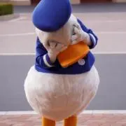 ちょたん