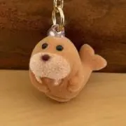 すーの画像