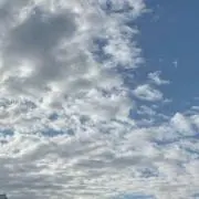 fluffyの画像
