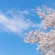 れい☆購入前にプロフ必見の画像