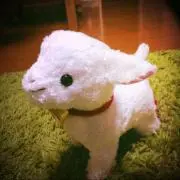 MoKeMoKeの画像