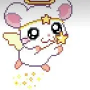 hamhamの画像