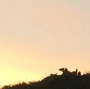 シン∞プルの画像