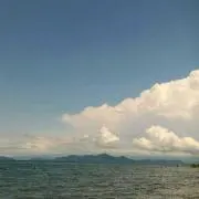 HawaiianXXX