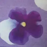 はとさぶの画像