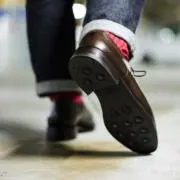 コロの画像