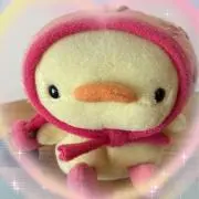 ぴよよこの画像
