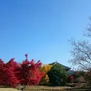 ゆま☕