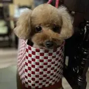 hys.kの画像