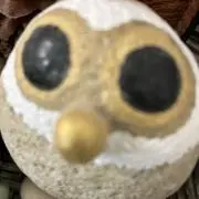 ドレッシングの画像