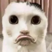 ෆ‪の画像