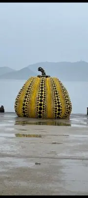 kinoko