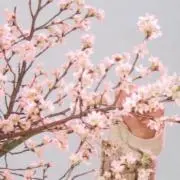 ＊9702z＊の画像