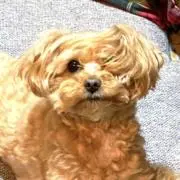 mizumoguraの画像