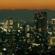 まるこたの画像