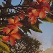 s❤︎の画像